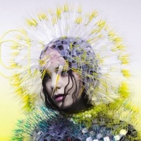 Björk Net Worth 2024, Height, Wiki, Age