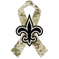 New Orleans Saints Wiki, Facts