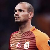 Wesley Sneijder Wiki, Facts