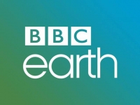BBC Earth Wiki, Facts