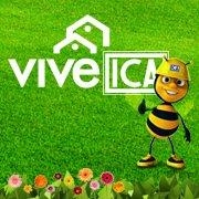 ViveICA Wiki, Facts