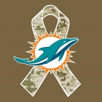 Miami Dolphins Wiki, Facts