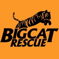 Big Cat Rescue Wiki, Facts