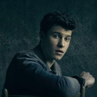 Shawn Mendes Net Worth 2024, Height, Wiki, Age