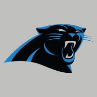 Carolina Panthers Wiki, Facts
