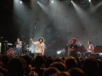Counting Crows Wiki, Facts