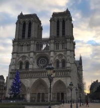 Notre-Dame Wiki, Facts