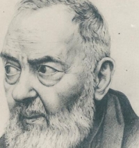 Padre Pio Net Worth 2024, Height, Wiki, Age