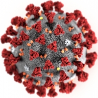 Coronavirus Wiki, Facts