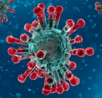 Coronavirus outbreak 2019-2020 Wiki, Facts