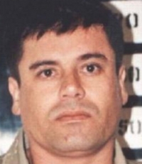 Joaquín Guzmán / El Chapo Guzmán