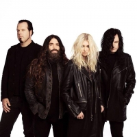 The Pretty Reckless Wiki, Facts