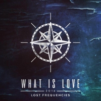 Lost Frequencies Wiki, Facts