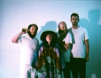 Little Dragon Wiki, Facts