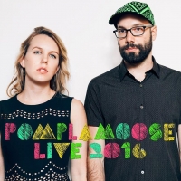 Pomplamoose Wiki, Facts