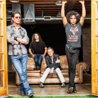 Alice in Chains Wiki, Facts
