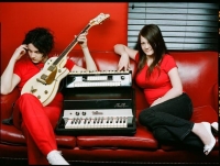 The White Stripes Wiki, Facts