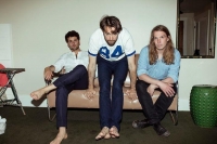 The Vaccines Wiki, Facts