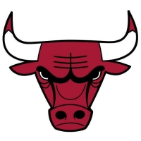 Chicago Bulls Wiki, Facts