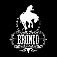Bronco Wiki, Facts