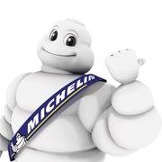 Michelin Wiki, Facts