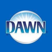 Dawn Wiki, Facts