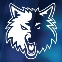 Minnesota Timberwolves Wiki, Facts