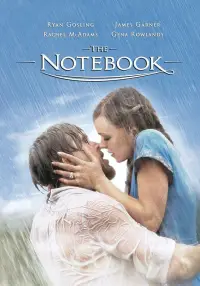 The Notebook Wiki, Facts