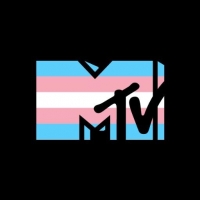 MTV Wiki, Facts