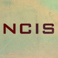 NCIS Wiki, Facts
