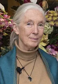 Jane Goodall Net Worth 2022, Height, Wiki, Age