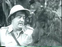 Lou Costello Net Worth 2024, Height, Wiki, Age