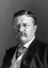 Theodore Roosevelt Net Worth 2024, Height, Wiki, Age