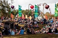 Electric Picnic Wiki, Facts
