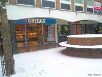 Greggs Wiki, Facts