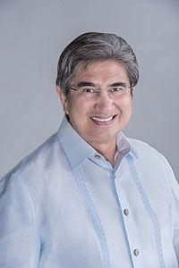 Gregorio Honasan Wiki, Facts