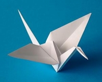 Origami Wiki, Facts