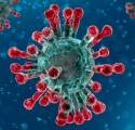 Coronavirus outbreak 2019-2020 wiki