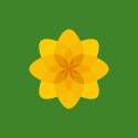 Plaid Cymru wiki